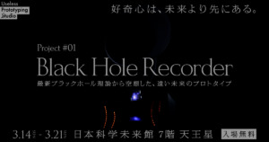 Black Hole Recorder