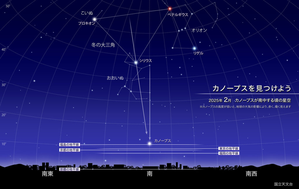 カノープスを見つけよう
2025年 2月：カノープスが南中する頃の星空
※カノープスの高度が低いと、地球の大気の影響により、赤く、暗く見えます