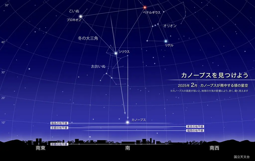カノープスを見つけよう
2025年 2月:カノープスが南中する頃の星空
※カノープスの高度が低いと、地球の大気の影響により、赤く、暗く見えます
