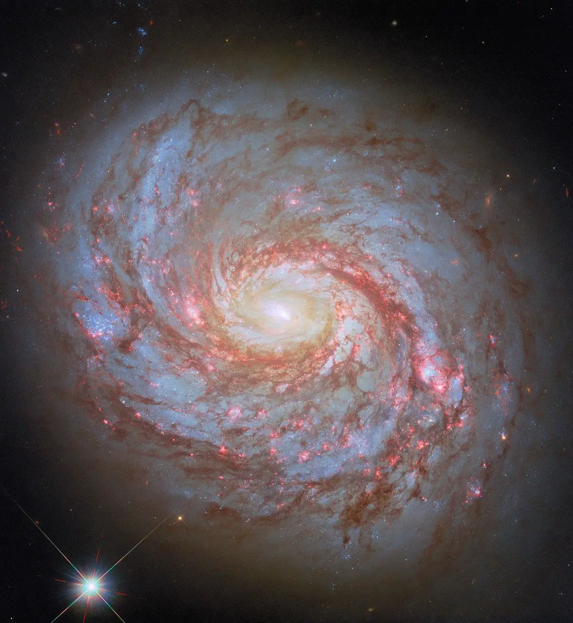 Hubble_M77_2025_potw2515a.jpg.webp