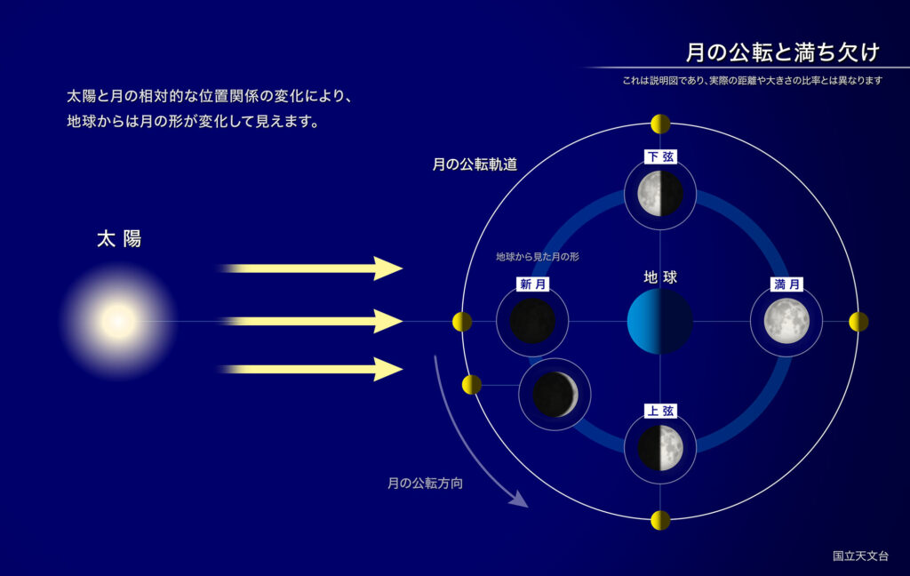 月の公転と満ち欠けの図