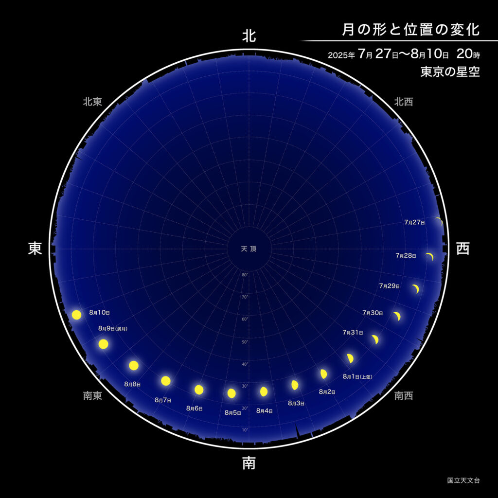 月の形と位置の変化
2025年7月27日~8月10日 20時
東京の星空