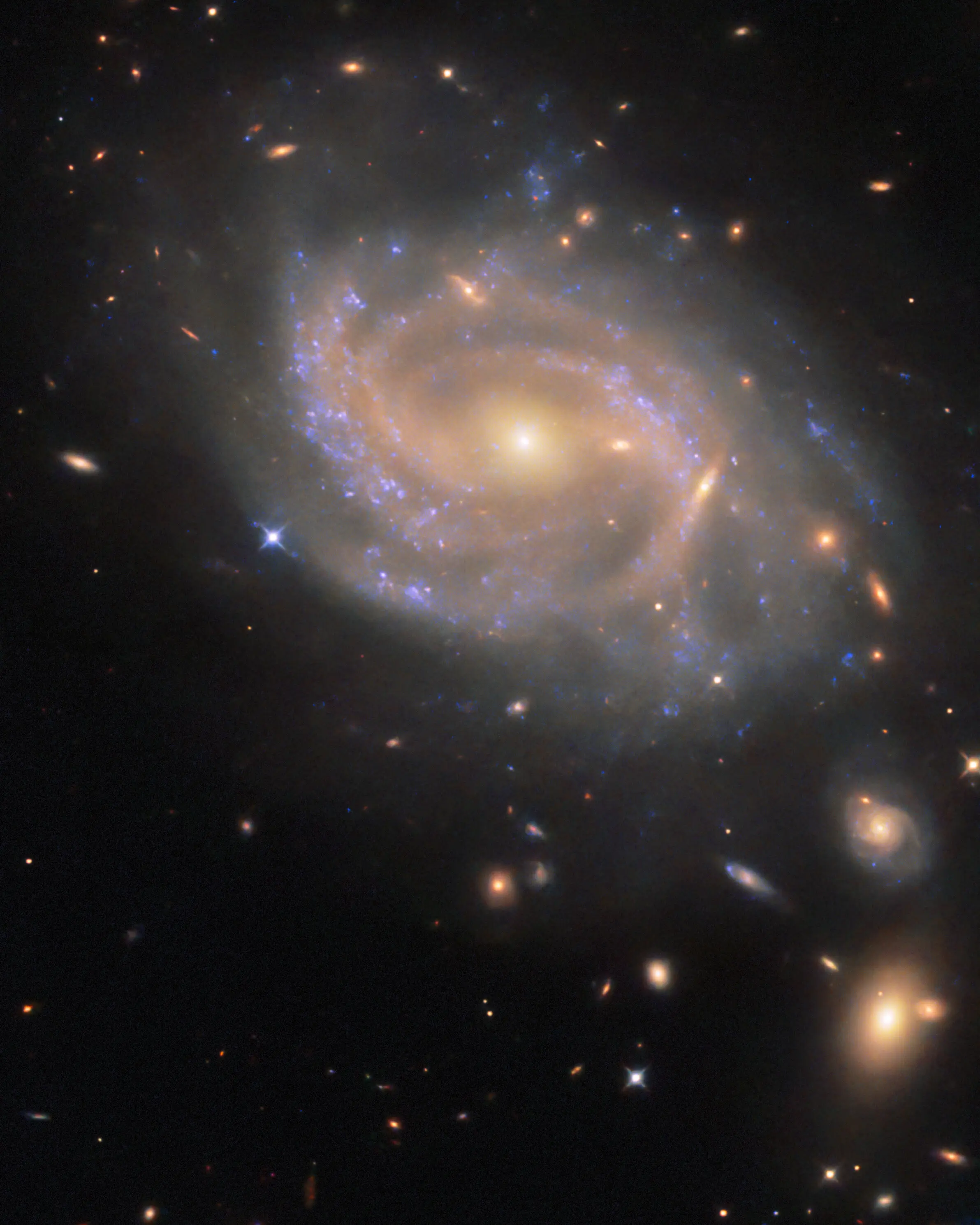 potw2529a.jpg.webp