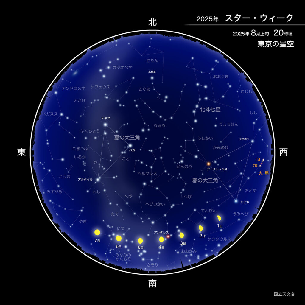 2025年
スター・ウィーク
2025年8月上旬
20時頃
東京の星空