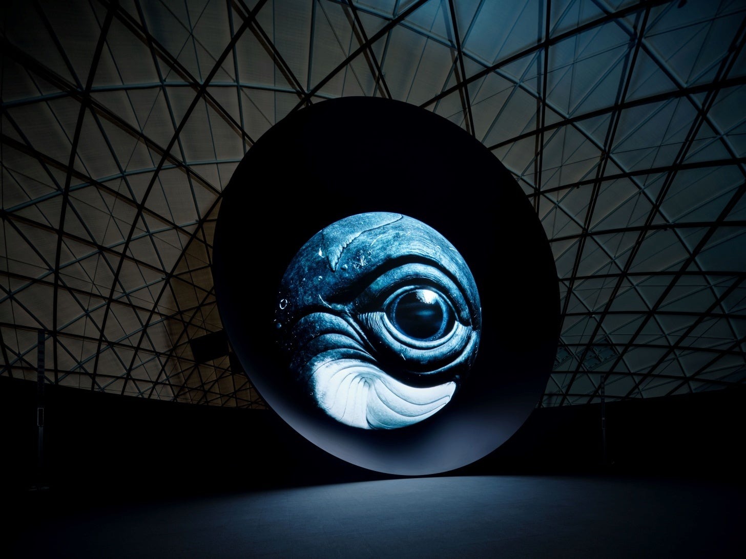 BLUE OCEAN DOME 再上映イメージ