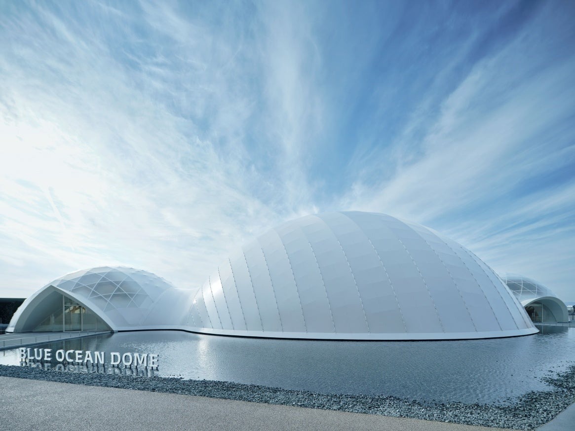 BLUE OCEAN DOME ドームシアター上映イメージ