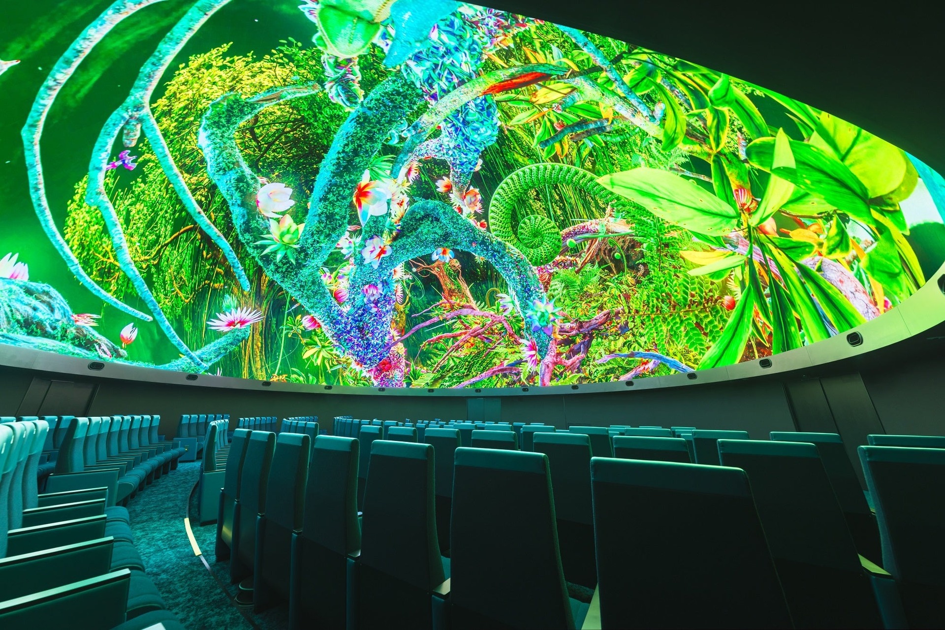 LIVE EXPERIENCE of DYNAVISION-LED