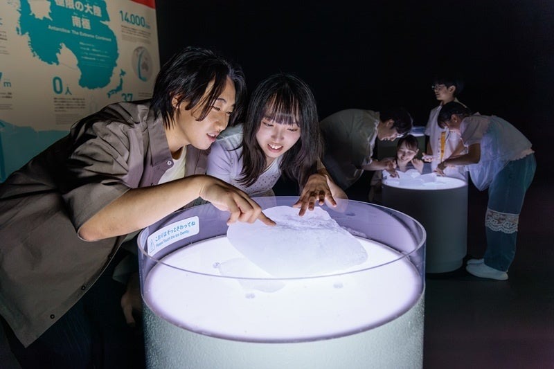 本物の南極の氷にさわれる体験エリア ©山本倫子