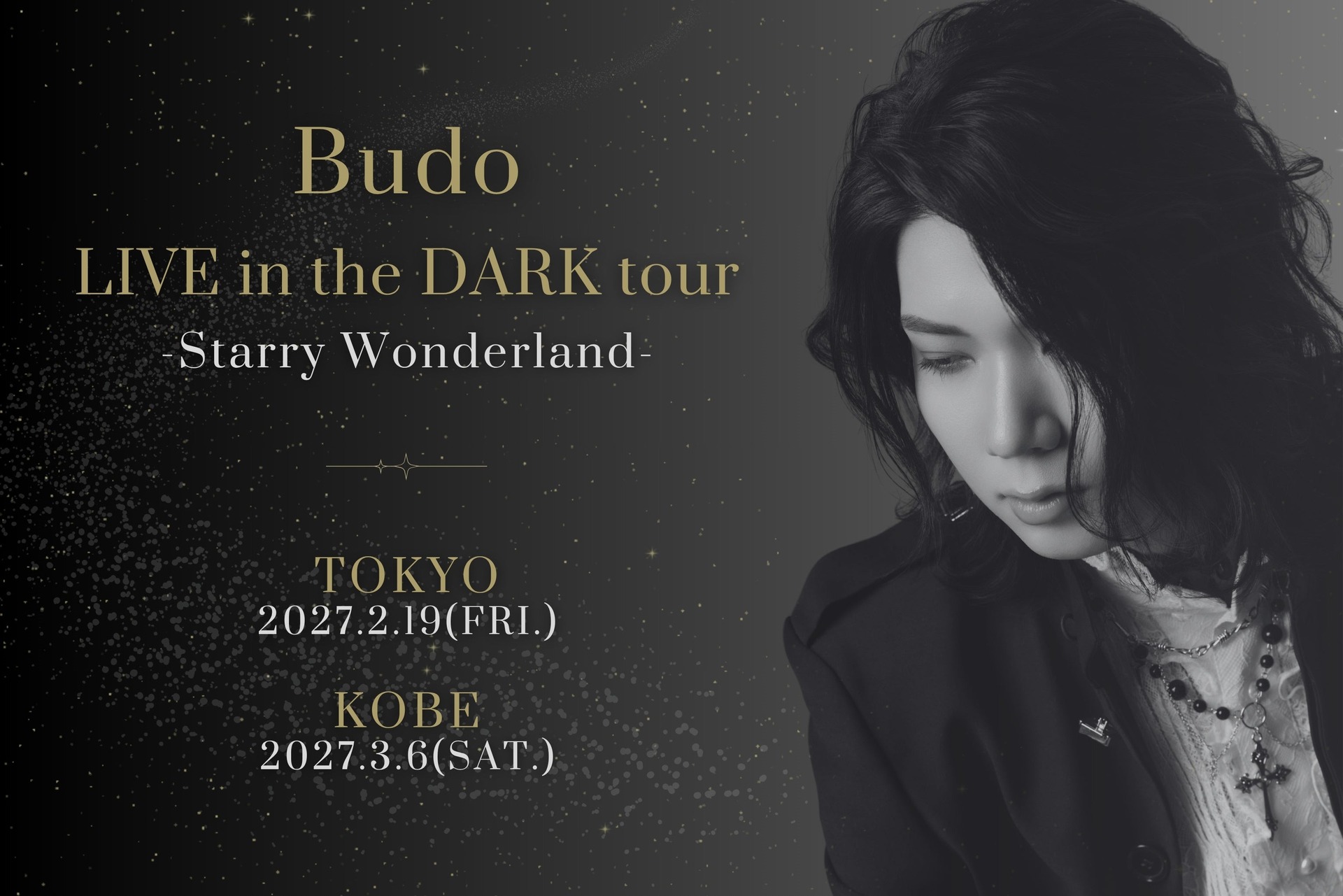 Budo LIVE in the DARK tour -Starry Wonderland-