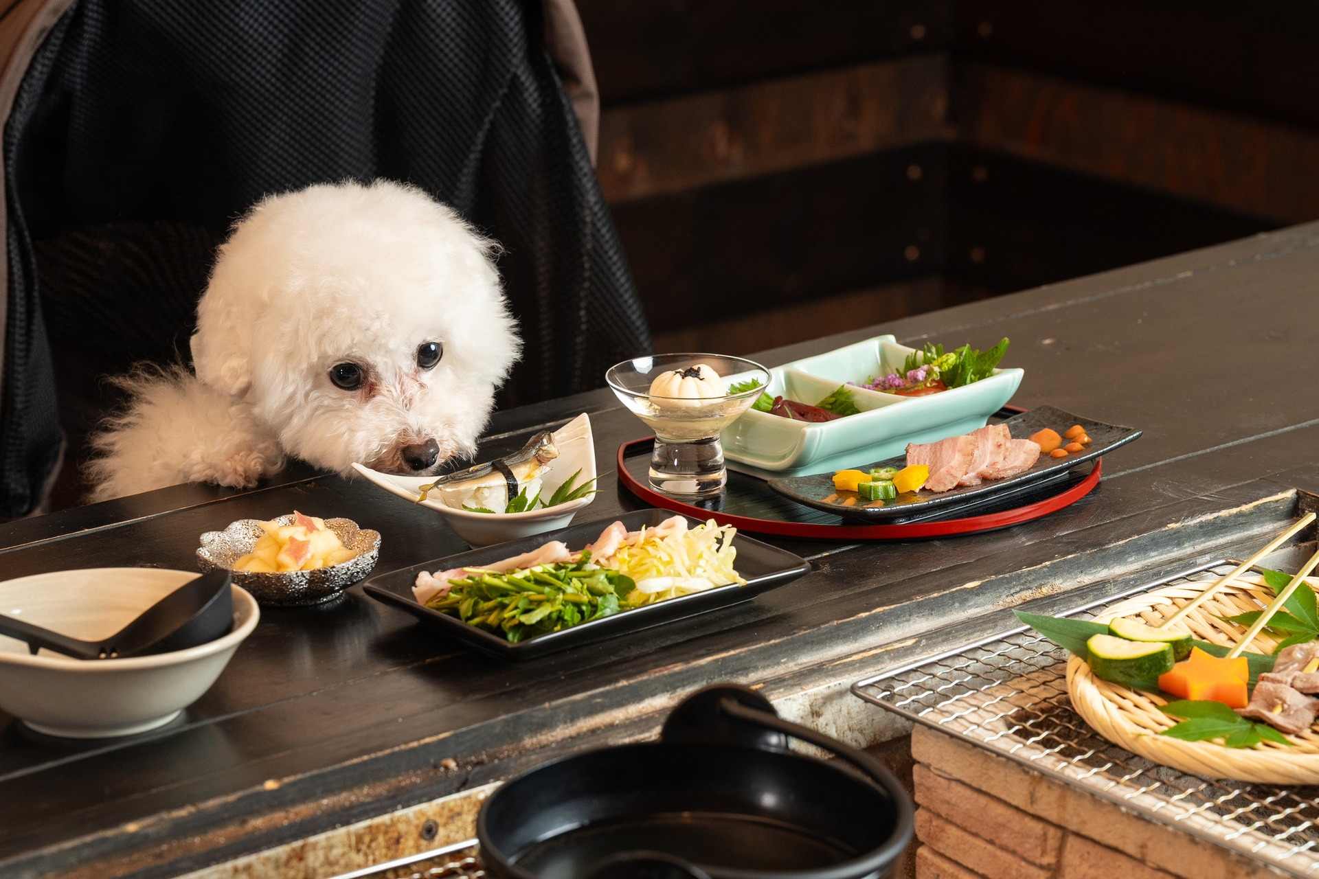 愛犬との食事