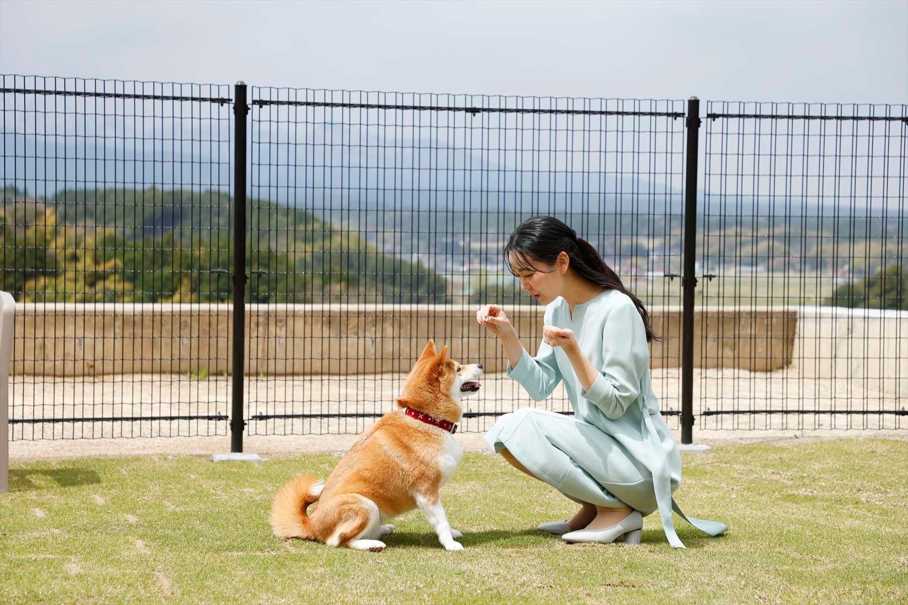 大型犬も宿泊できるドッグラン付きの部屋
