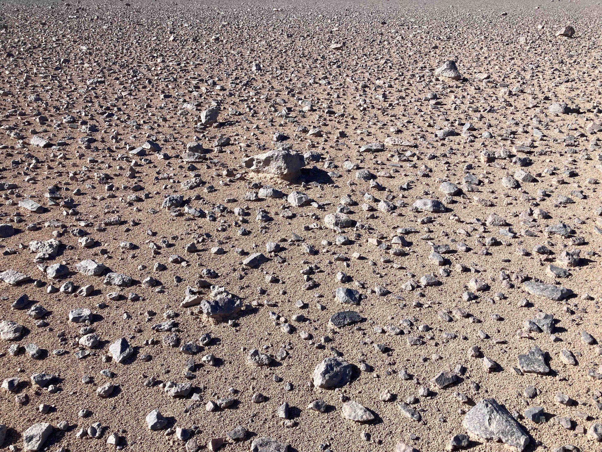 火星類似環境として知られるチリのアタカマ砂漠
