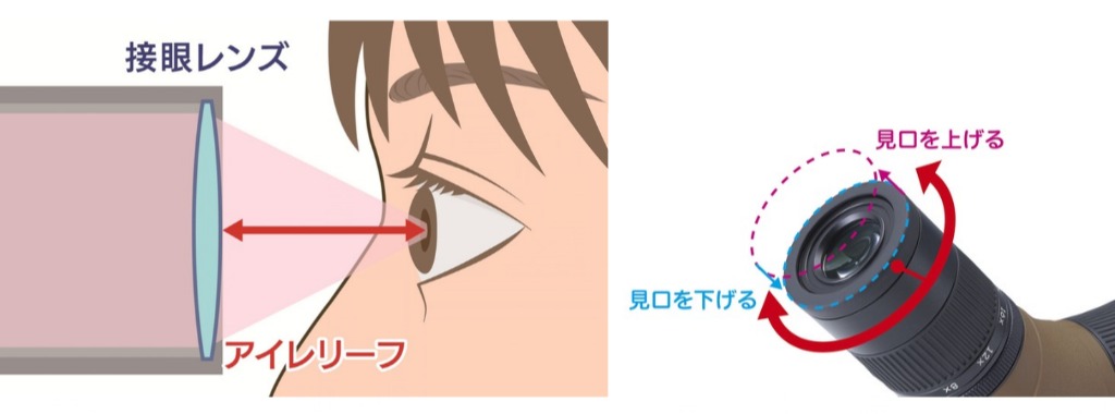 アイレリーフ18mmのハイアイポイント設計