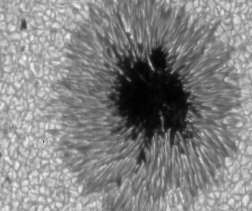 太陽表面の黒点を拡大した画像